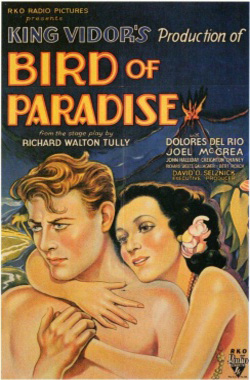 Bird of paradise