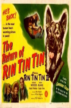The return of Rin Tin Tin