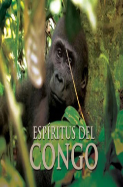 Espíritus del Congo