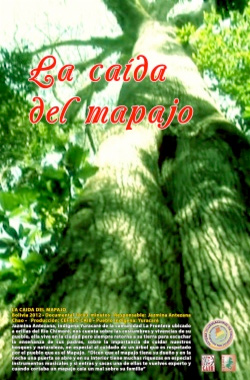 La caida del Mapajo