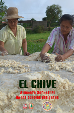 El Chivé, alimento ancestral de los pueblos indígenas de la Amazonia