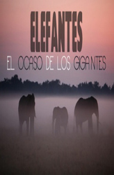 Elephants, the twilight of the giants