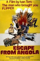 Escape from Angola, or, Return to Africa