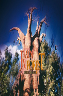 Rain forest: jungle seeds